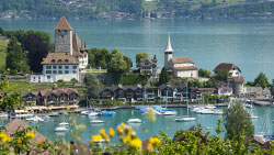 Spiez